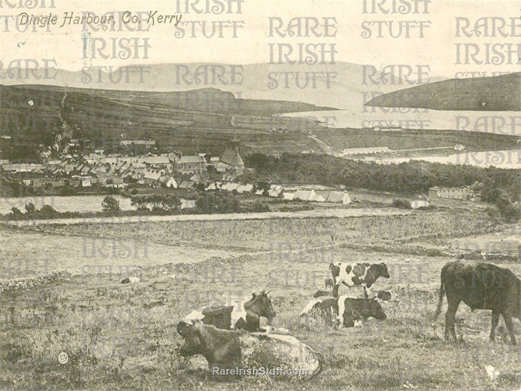 Dingle Harbour, Co. Kerry, Ireland 1930