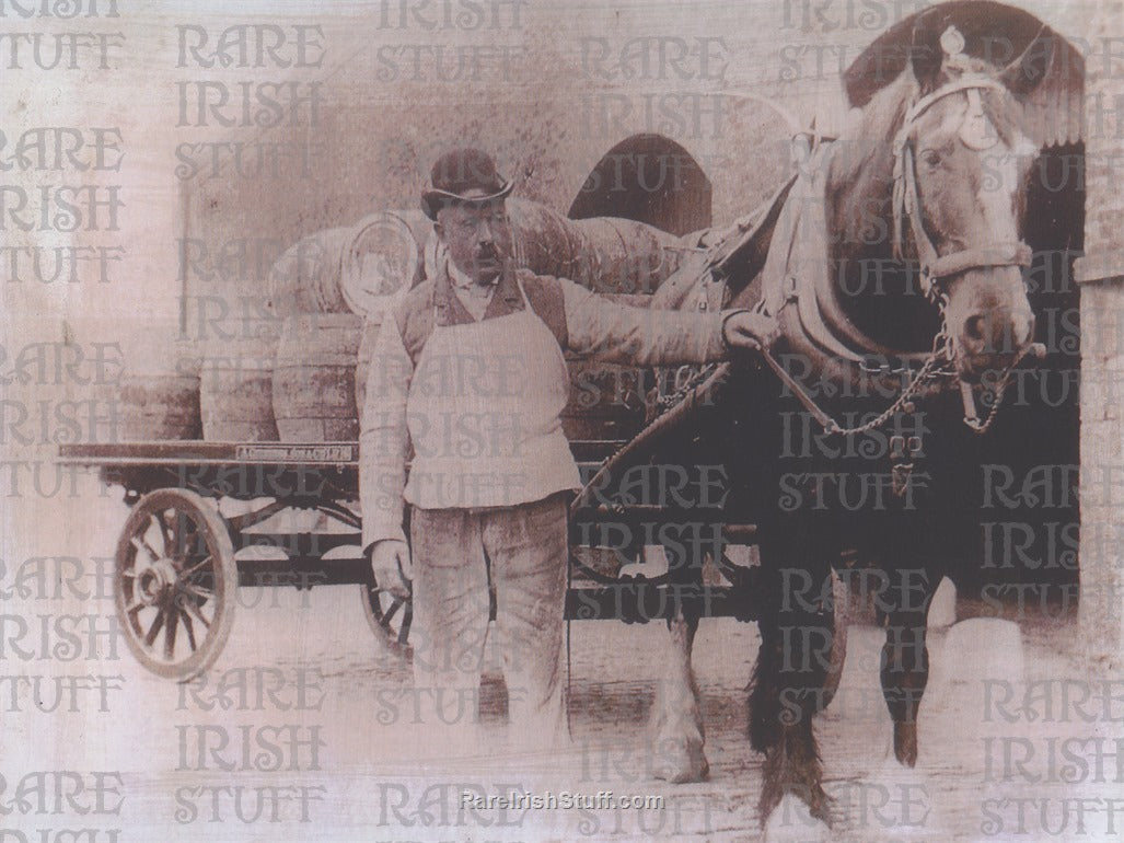 Horse and Cart Beer Delivery 1800's