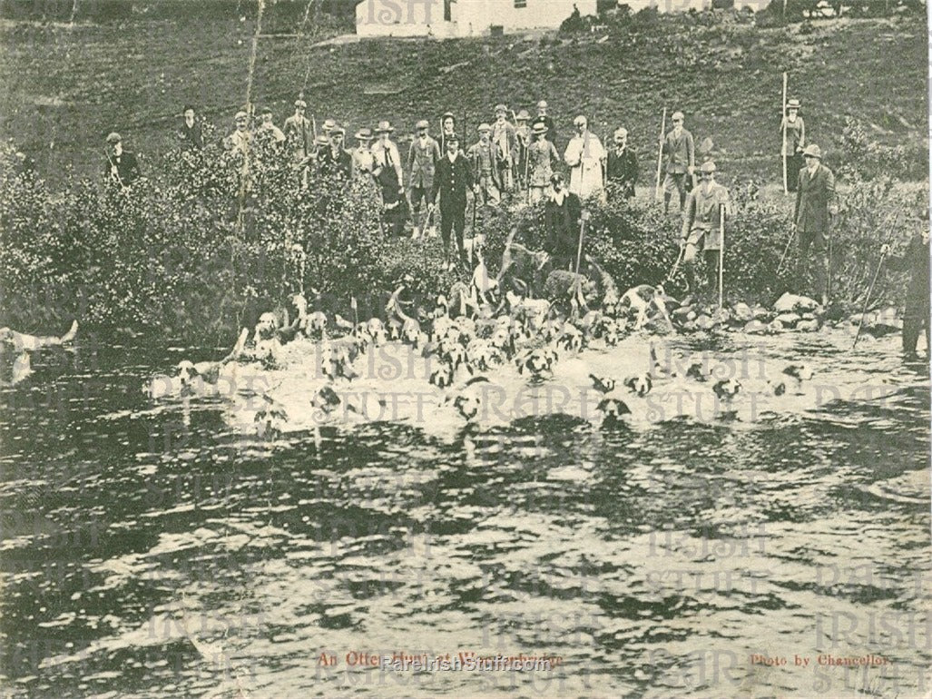 Otter Hunt, Woodenbridge, Co. Wicklow, Ireland 1905