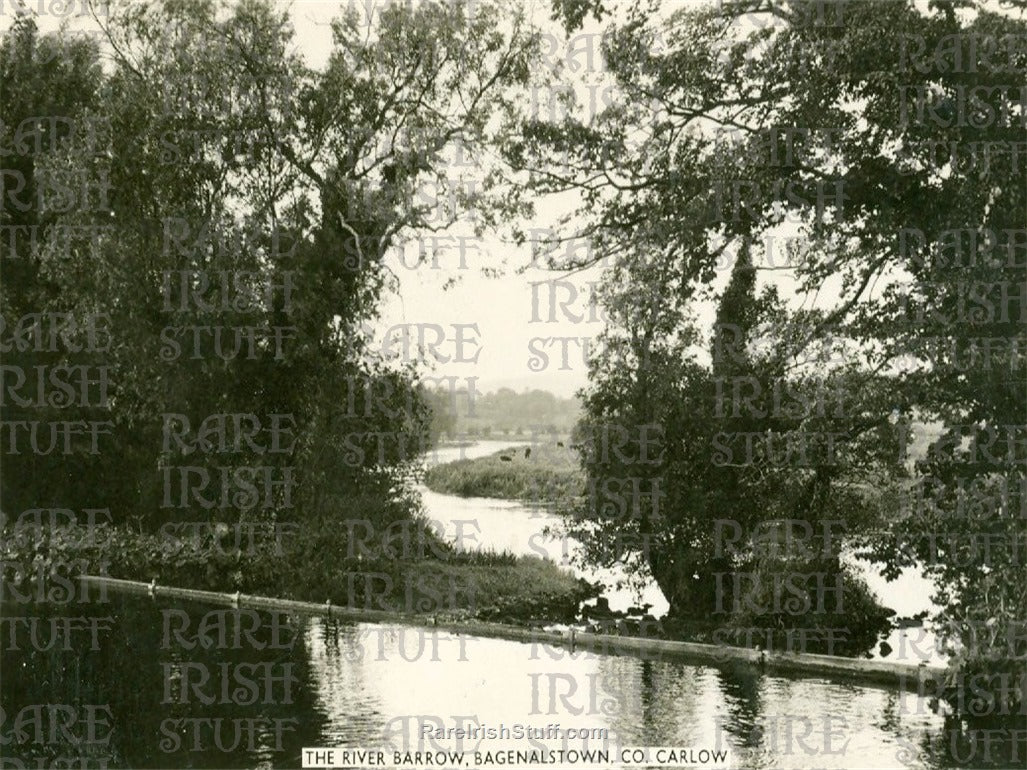 River Barrow, Bagenalstown, Co. Carlow, Ireland c.1960