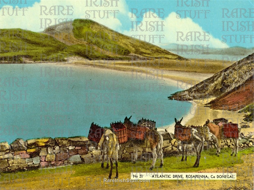 Atlantic Drive, Rosapenna, Co. Donegal, Ireland 1910