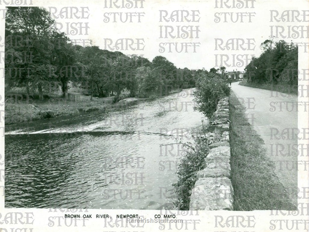 Brown Oak River, Newport, Co. Mayo, Ireland 1950s