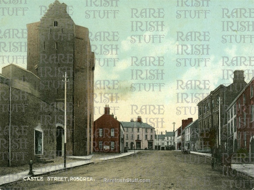 Castle Street, Roscrea, Co. Tipperary, Ireland 1895