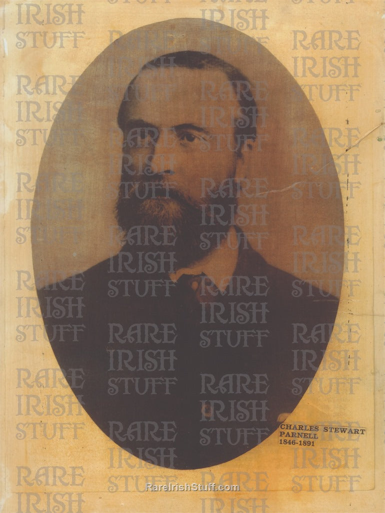 Charles Stewart Parnell Portrait