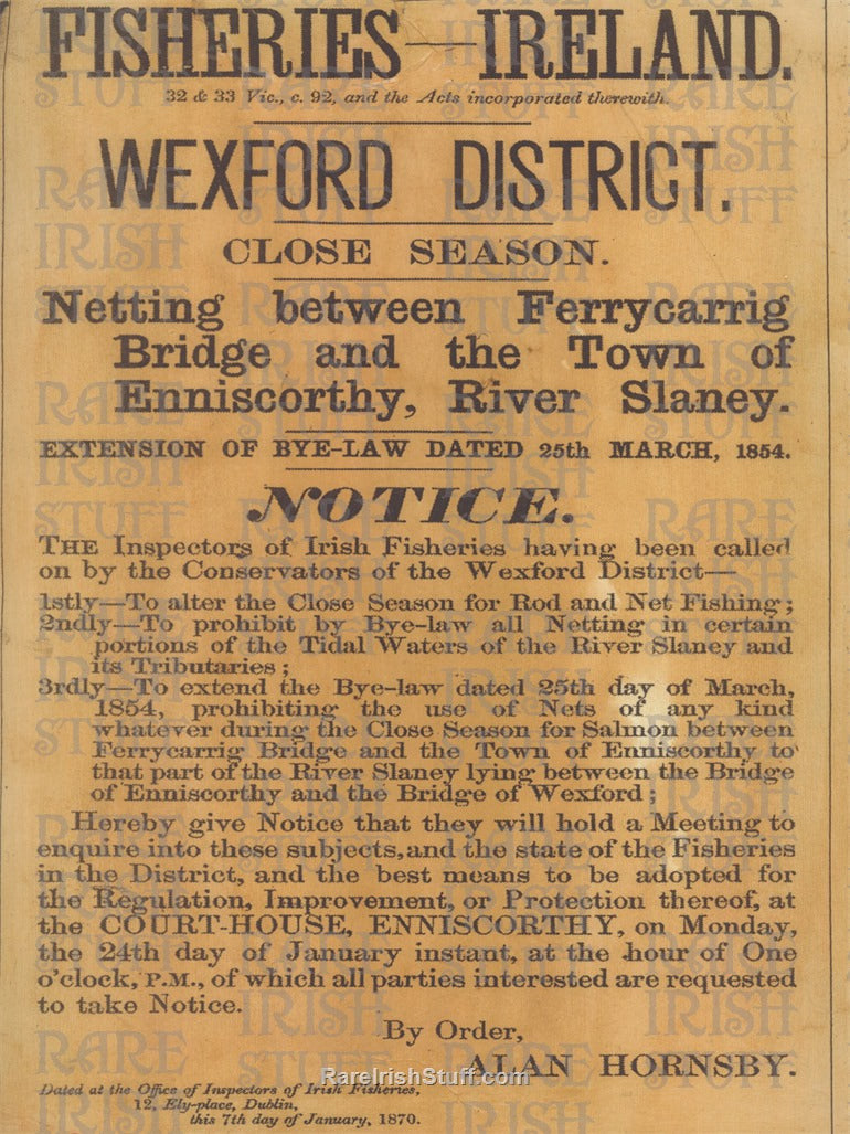Fisheries Meeting, Enniscorthy, Ferrycarrig, River Slaney, Wexford, 1870
