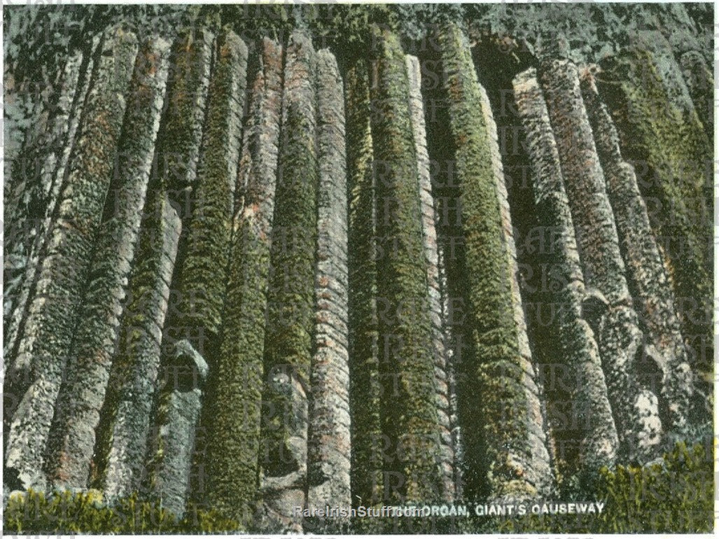 The Organ, Giants Causeway, Co. Antrim, Ireland 1904