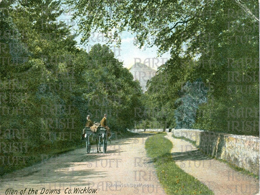 Glen of the Downs, Co. Wicklow, Ireland 1895