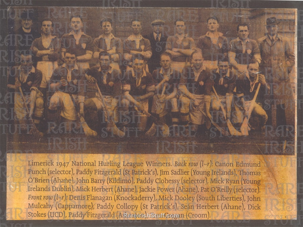 Limerick, National Hurling League Winners, 1947