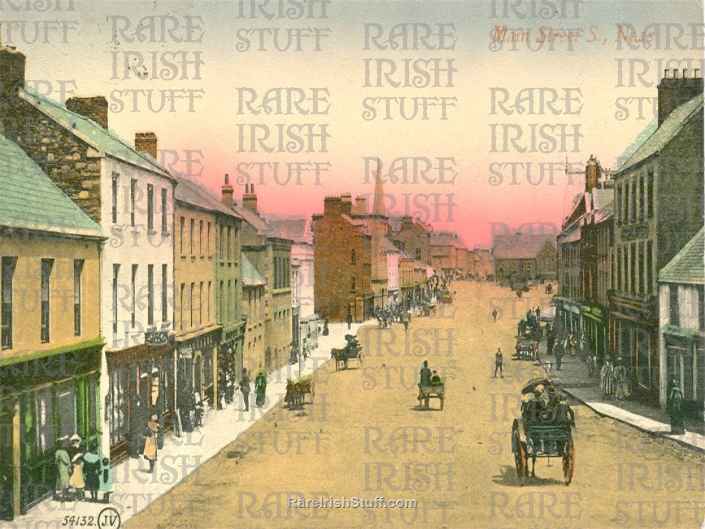 Main Street South, Naas, Co Kildare, Ireland 1880