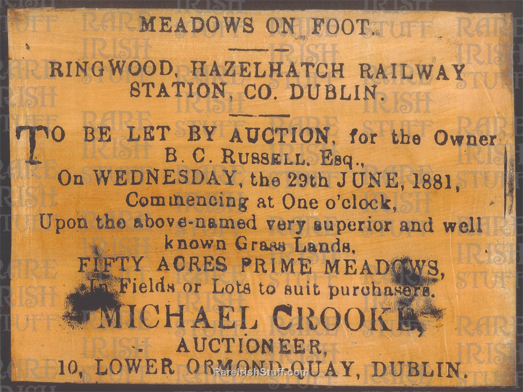 Land Auction taking place at Hazelhatch Railway Station, Dublin - June 29th 1881