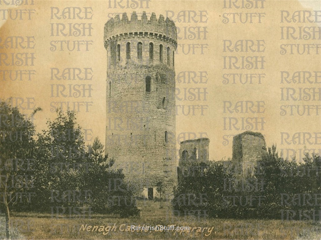Nenagh Castle, Nenagh, Co. Tipperary, Ireland 1895