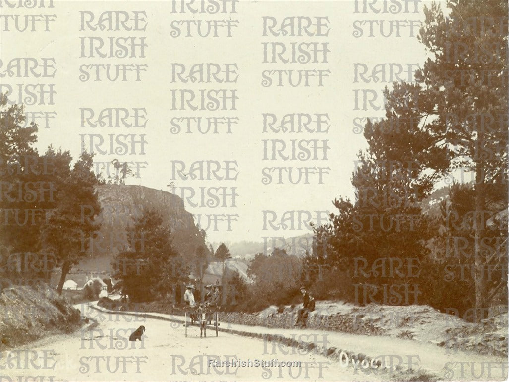 Ovoca (Avoca), Co. Wicklow, Ireland 1895