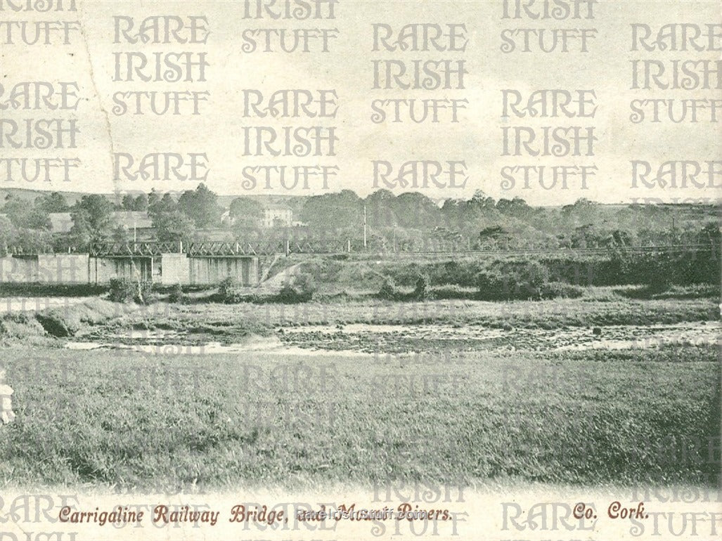 Railway Bridge & Mount Rivers, Carrigaline, Co. Cork, Ireland 1906