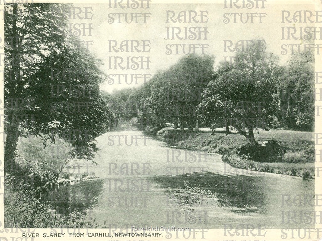 River Slaney, Carhill, Newtownbarry, Co. Wexford, Ireland 1910