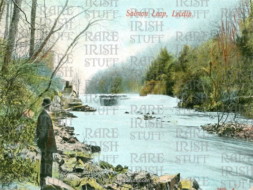 Salmon Leap, Leixlip, Kildare, Ireland 1890