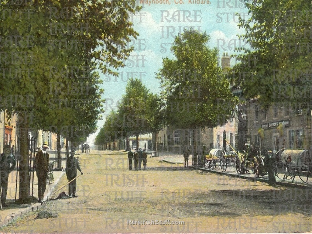 Street Scene, Maynooth, Co. Kildare, Ireland 1895