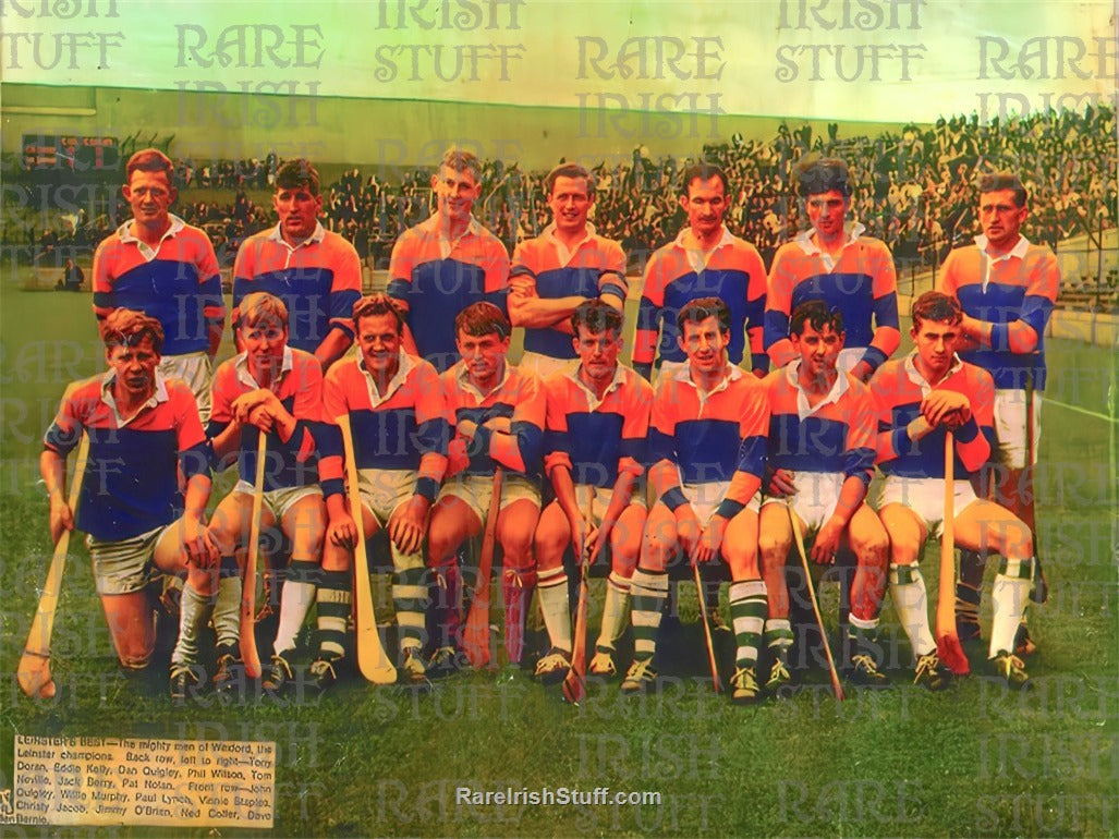 The Mighty Men Of Wexford Leinster Champions GAA 1968