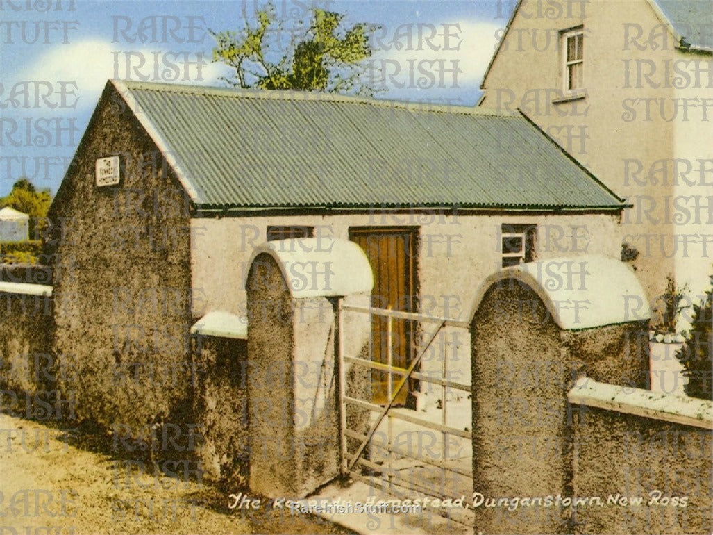 The Kennedy (JFK) Homestead, Dunganstown, New Ross, Co Wexford, Ireland 1963