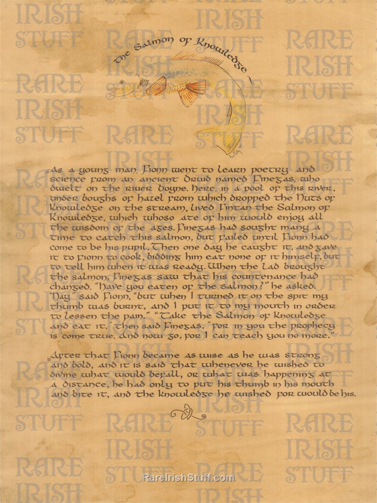 Salmon Of Knowledge - Fionn Mac Cumhaill - Irish Legend Story