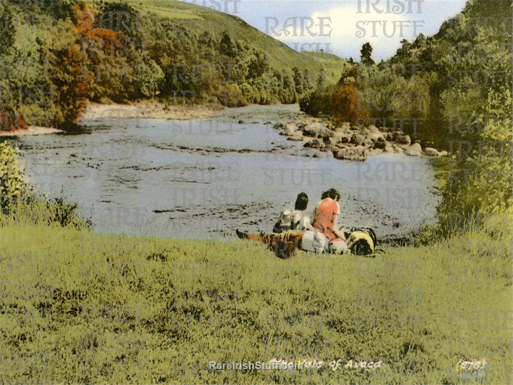 The Vale of Avoca, Avoca, Co. Wicklow, Ireland 1905
