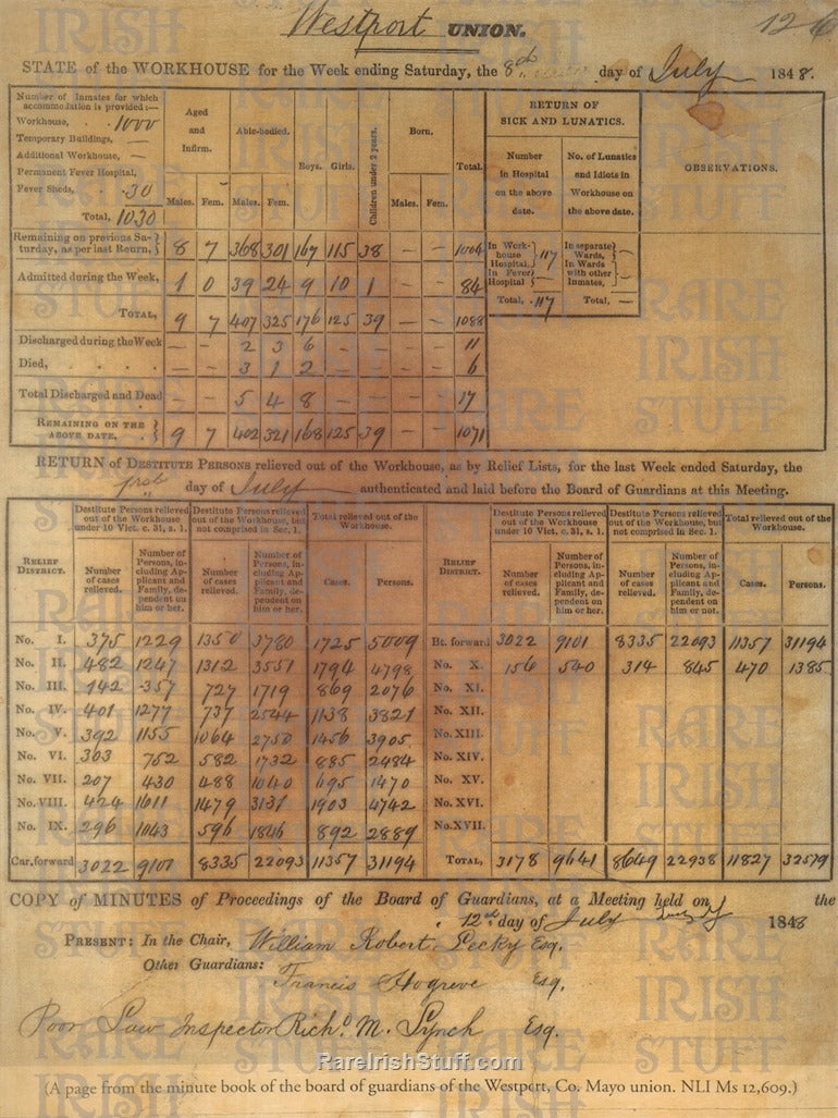 Famine Workhouse Report, Westport, Mayo, 1848