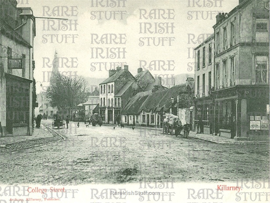 College Street, Killarney, Co. Kerry, Ireland 1902