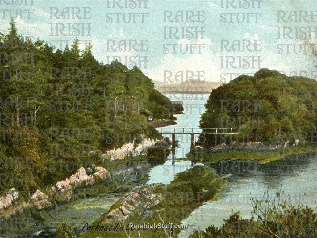 Parknasilla, Co. Kerry, Ireland 1904