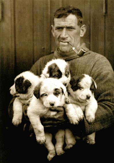 Tom Crean - Kerry's legendary Polar Explorer