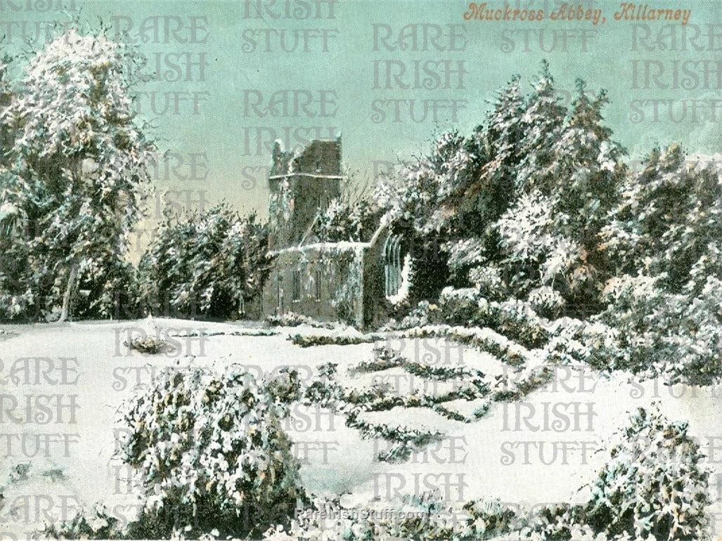 Muckross Abbey, Killarney, Co. Kerry, Ireland 1900
