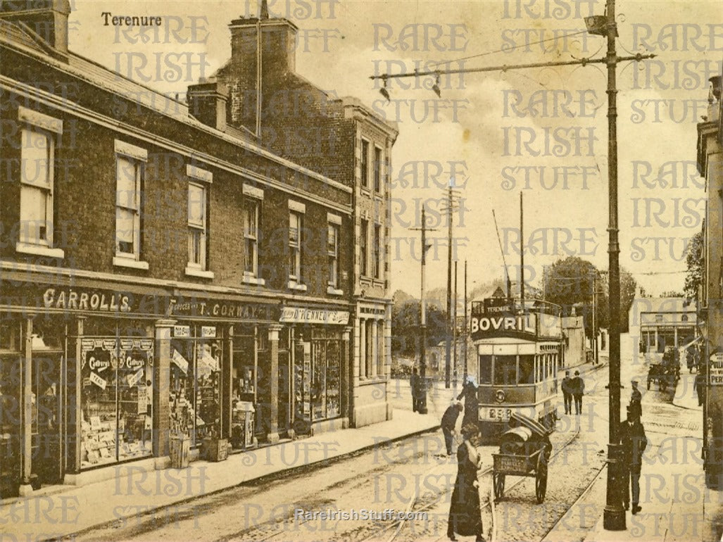 Terenure Village, Dublin, Ireland 1900