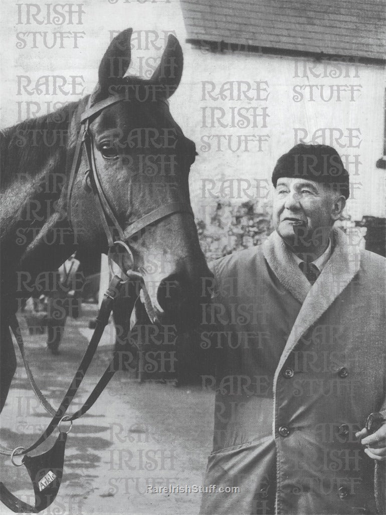 Famous Irish Racehorse Arkle