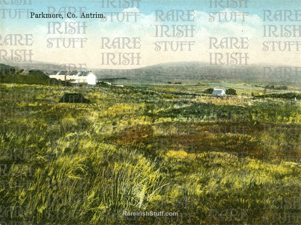 Parkmore, Co. Antrim, Ireland 1911