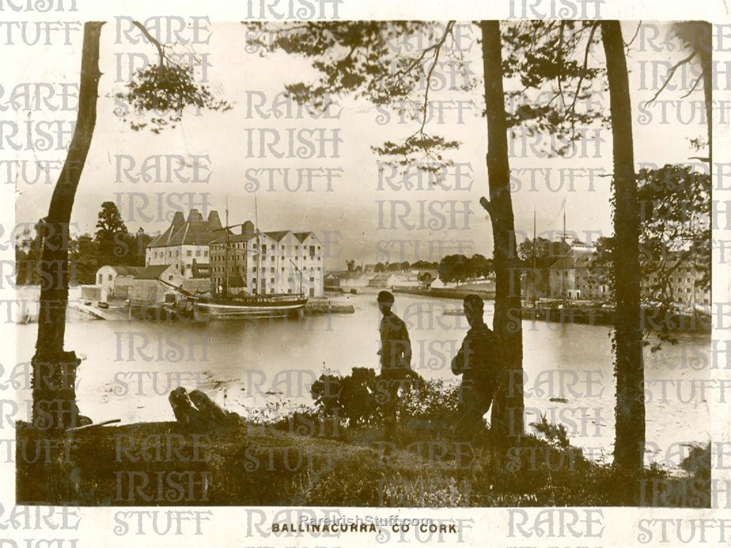 Ballinacurra, Co. Cork, Ireland 1919