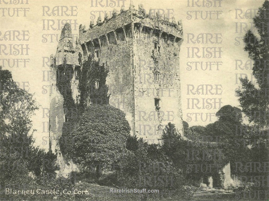 Blarney Castle, Blarney, Co. Cork, Ireland 1925
