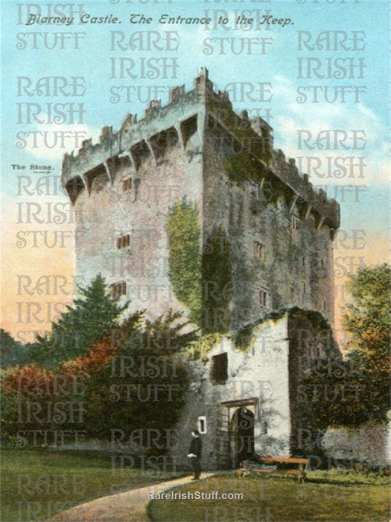 Blarney Castle, Blarney, Co. Cork, Ireland 1895