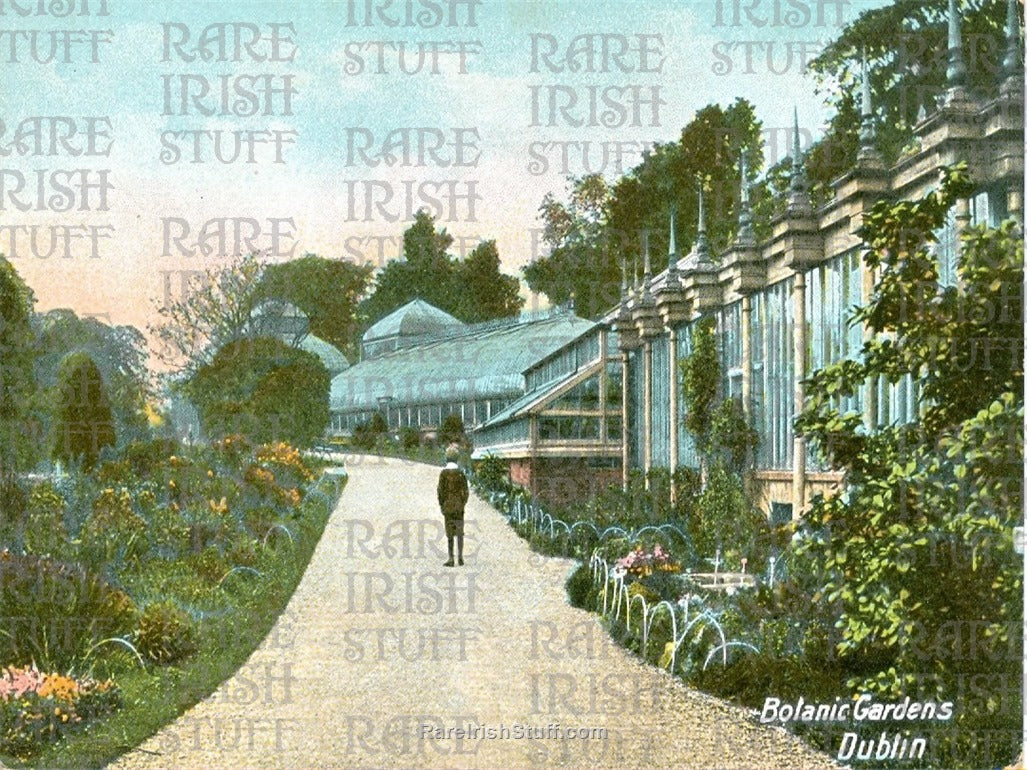 Botanic Gardens, Glasnevin, Dublin, Ireland 1900