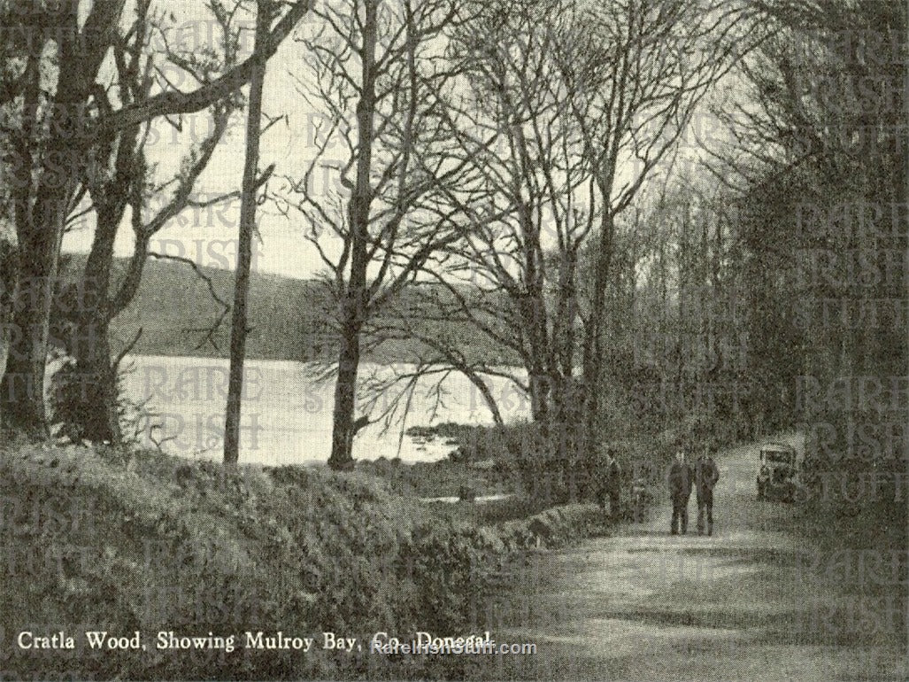 Cratla Wood showing Mulroy Bay, Co. Donegal, Ireland 1925