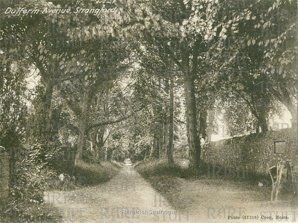 Dufferin Avenue, Strangford, Co. Down, Ireland 1905