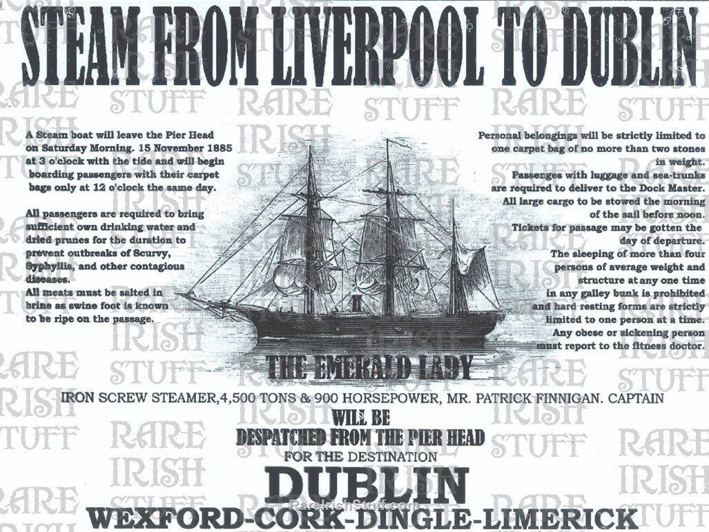 19th Century Irish Emigrant Ship 'The Emerald Lady'