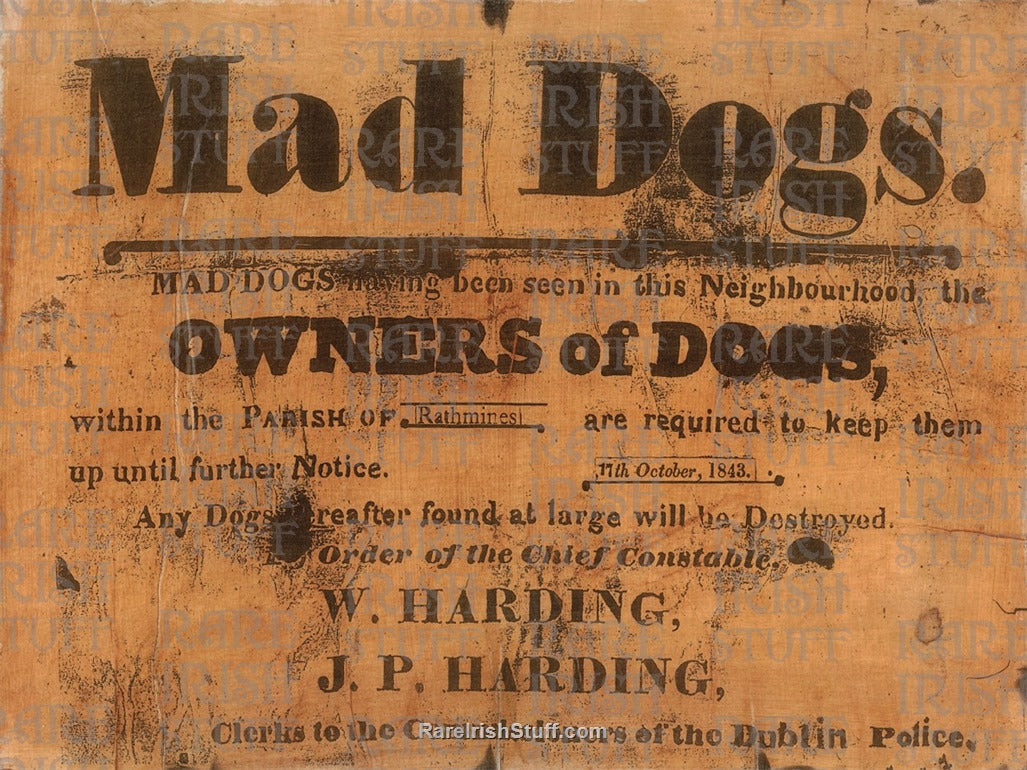 Warning Street Notice 'Mad Dogs in Rathmines' Dublin, 1843