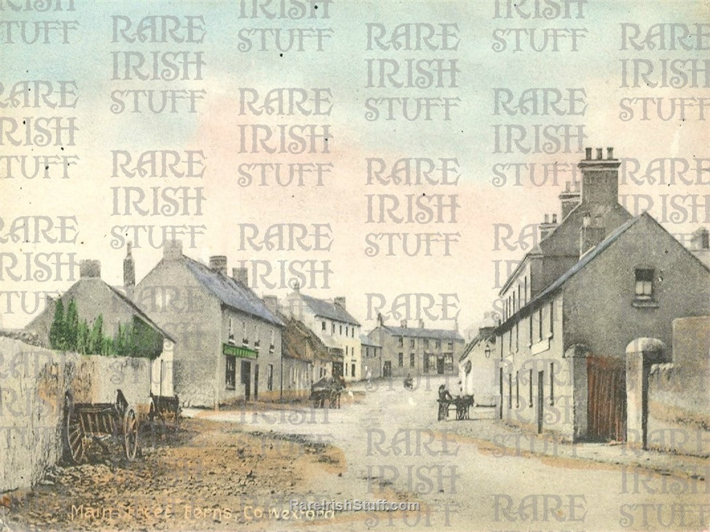 Main Steet, Ferns, Co. Wexford, Ireland 1900
