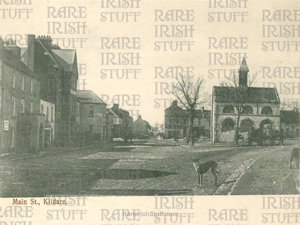 Main Street, Kildare Town, Co. Kildare, Ireland 1899