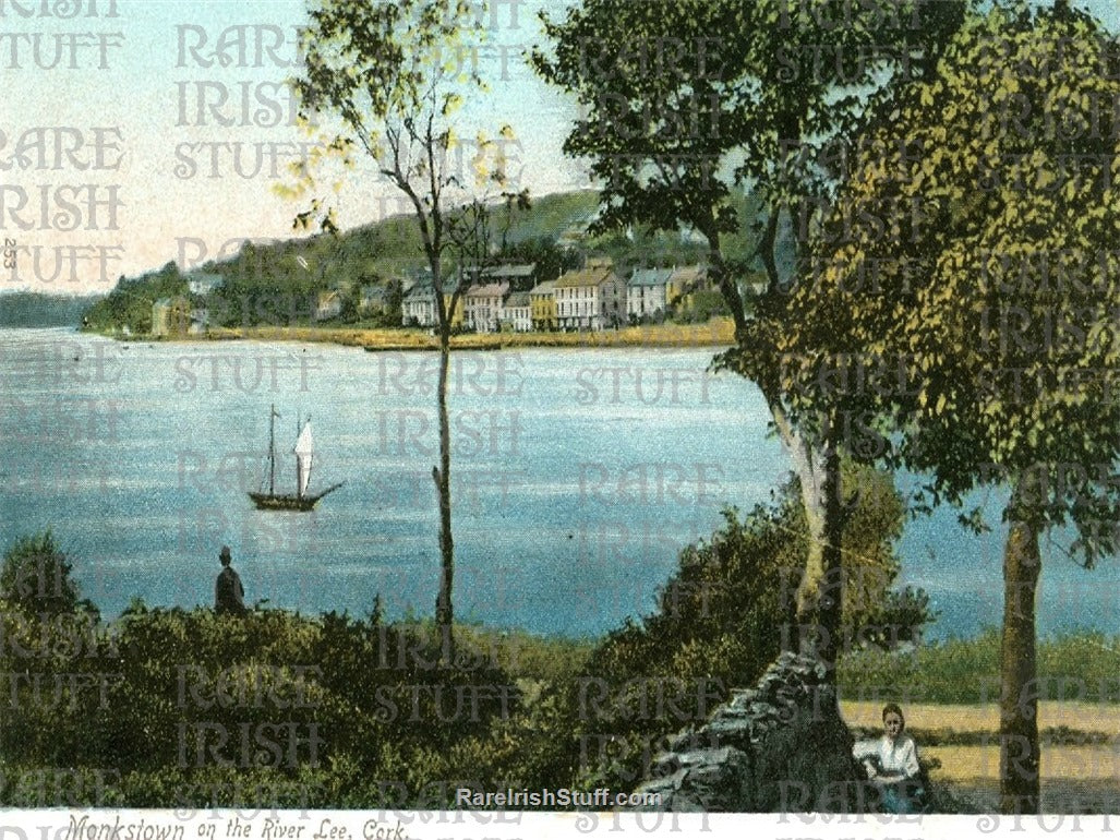 Monkstown on the River Lee, Co. Cork, Ireland 1892