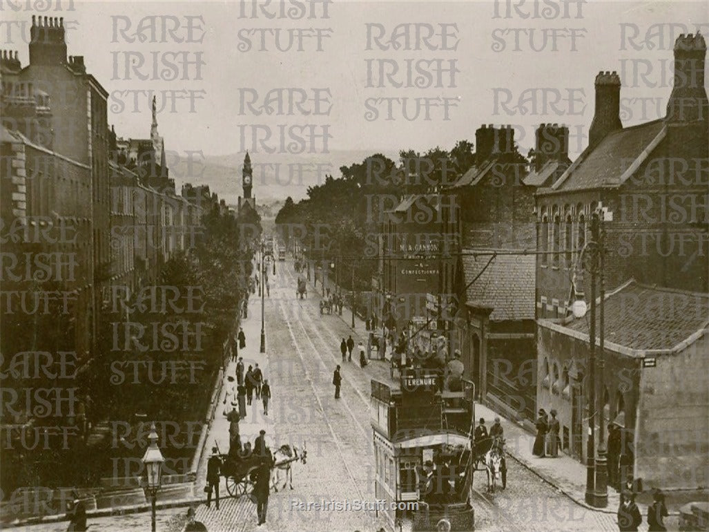 Rathmines Road, Rathmines, Dublin, Ireland 1901
