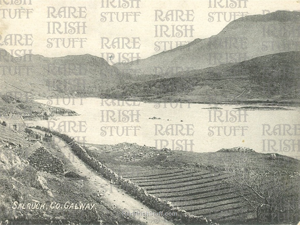Salruck, Galway, Ireland 1890
