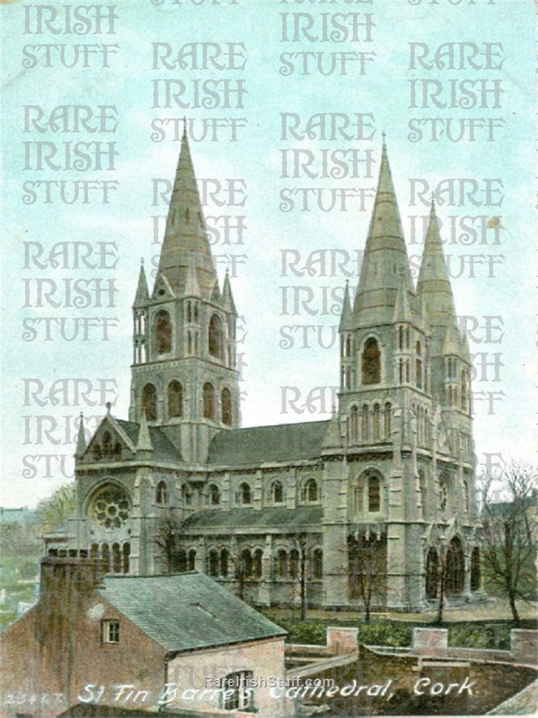 St Fin Barres Cathedral, Cork City, Co. Cork, Ireland 1896