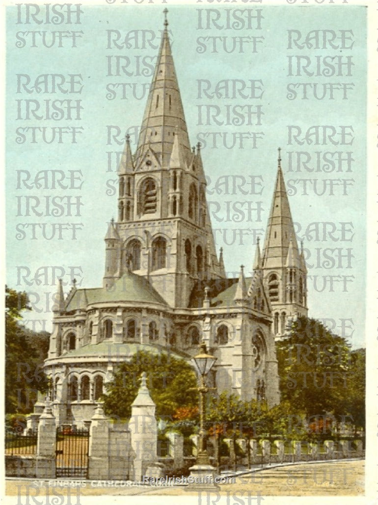 St Fin Barres Cathedral, Cork City, Co. Cork, Ireland 1905