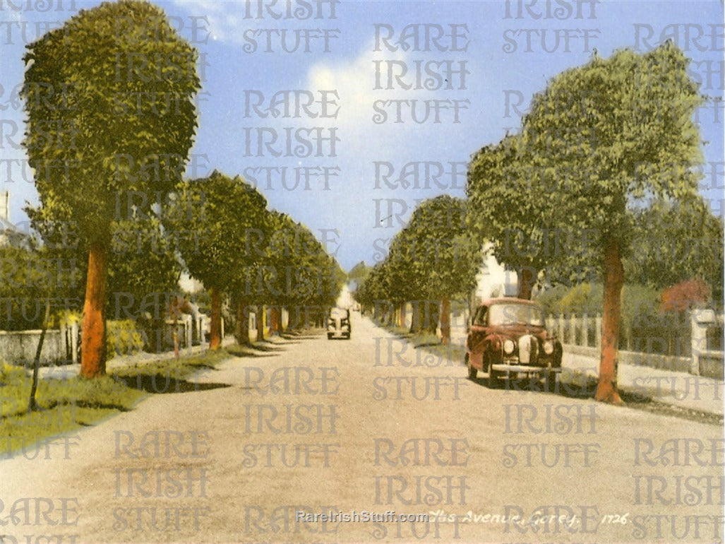 The Avenue, Gorey, Co. Wexford, Ireland 1940
