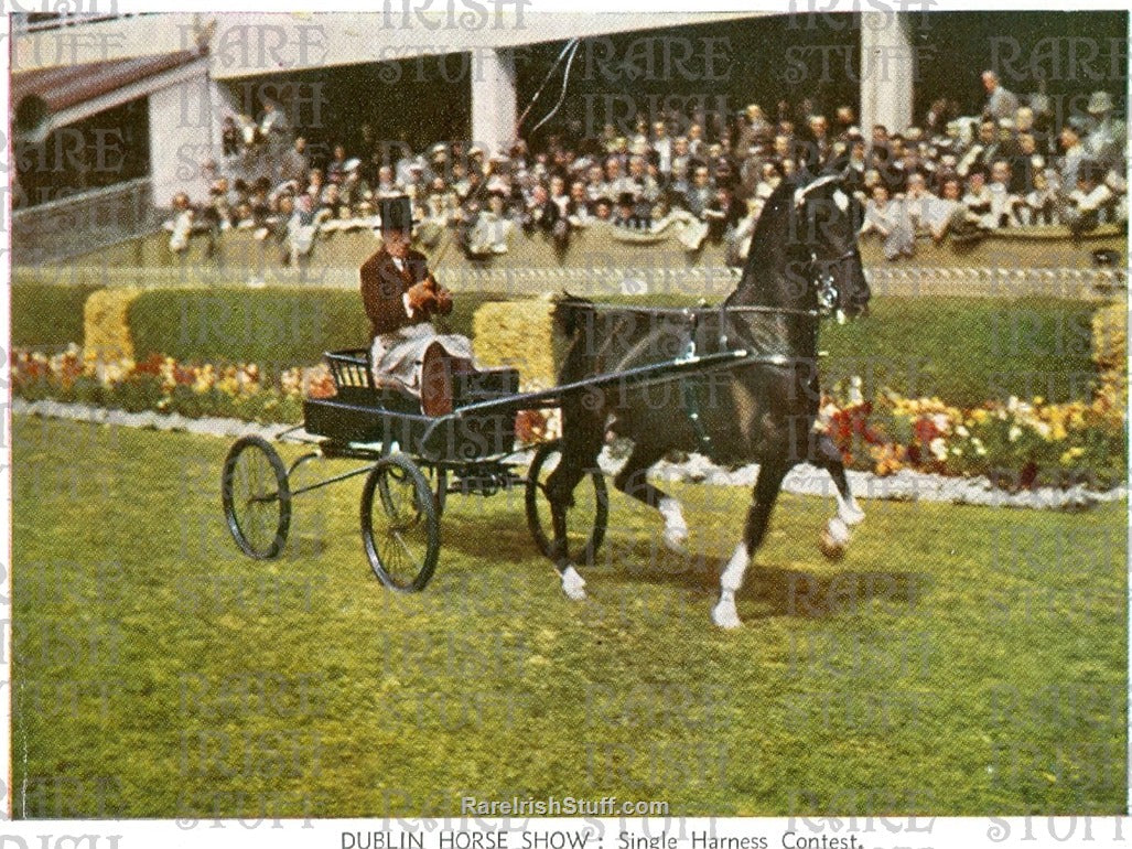 Horse Show, RDS, Ballsbridge, Dublin, Ireland 1942